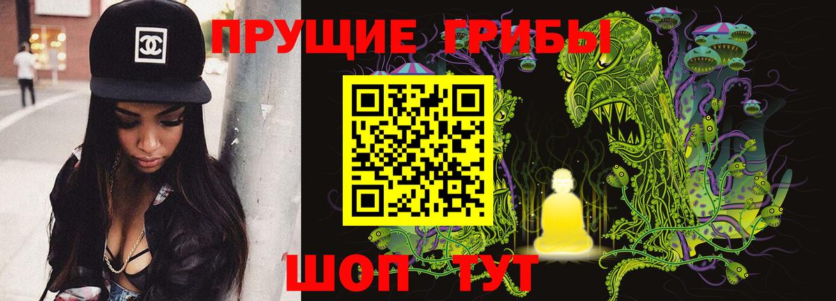 Знаменск  Галлюциногенные грибы Cubensis  Вход с VPN  Галлюциногенные грибы Cubensis 